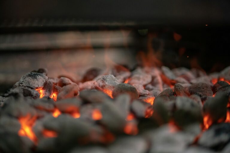 charcoal briquettes
