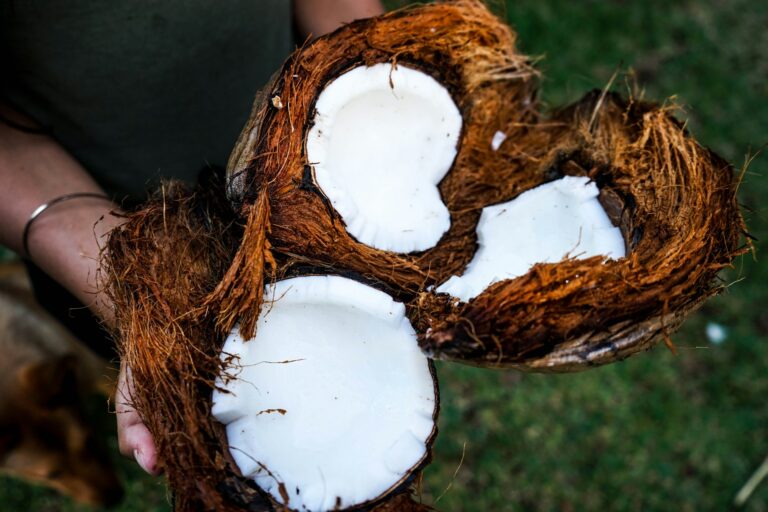 dessicated coconut