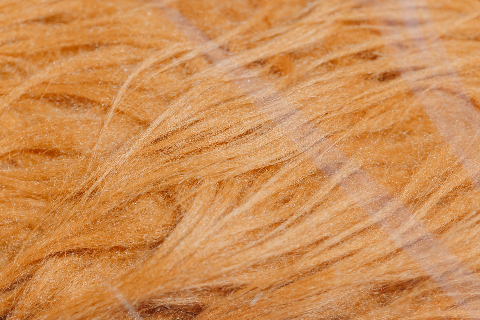 coconut fibers