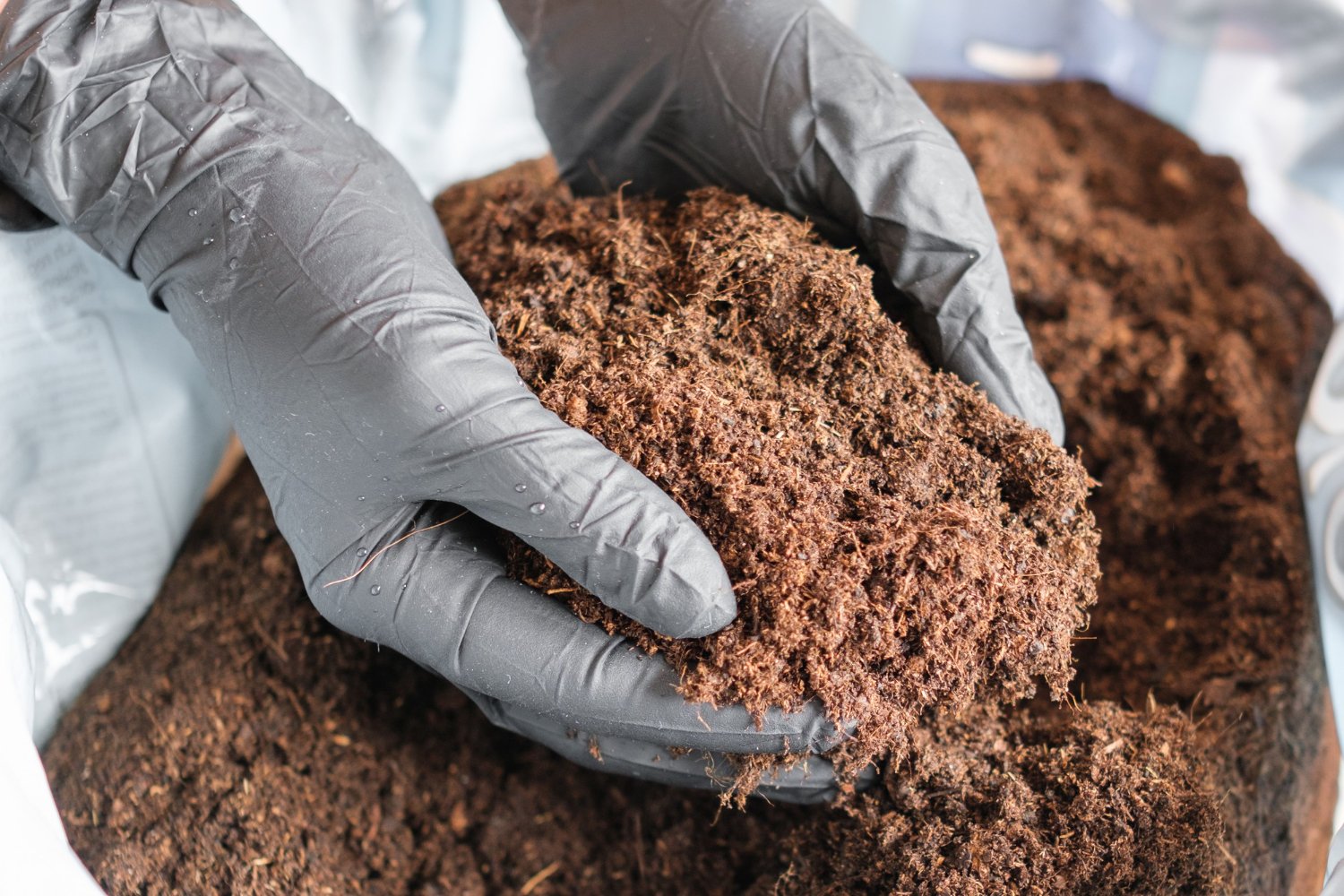 cocopeat