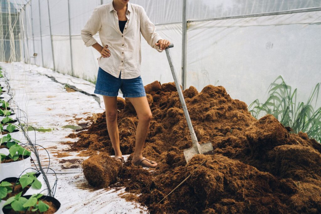 cocopeat supplier