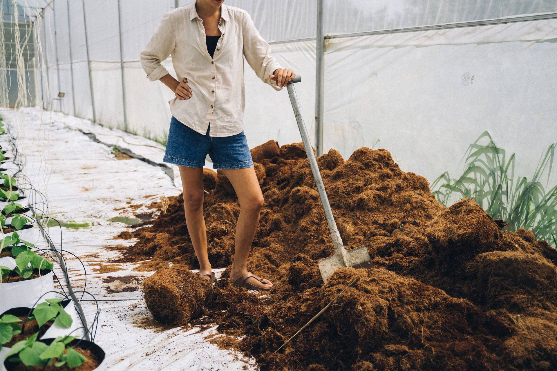 cocopeat supplier